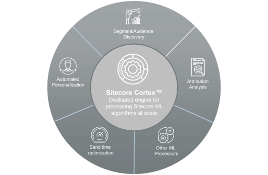 Sitecore Cortex